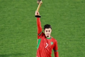 世青賽獎(jiǎng)項(xiàng)：瑪瑪金球、扎比里銀球、德爾加多銅球，巴比金手套