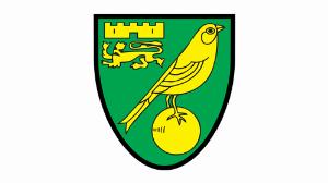 福利多多！諾維奇宣布招聘財(cái)務(wù)會(huì)計(jì)師，要求積極主動(dòng)、善于分析