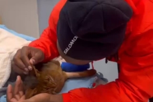 巴舒亞伊深情告別因車禍離世的愛貓：安息吧，我的兒子