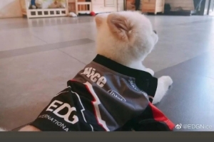 Deft和PawN發(fā)文送別Nice：下次再見吧；小寶貝心理教練Nice