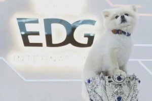 EDG隊(duì)寵Nice去了汪星？昨晚Nice微博賬號(hào)更新：永遠(yuǎn)愛奈奈