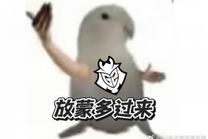 扳平比分后G2官方發(fā)文：有什么話去跟蒙多說(shuō)去吧