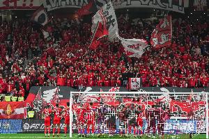 馬德興：海港球迷很少高調(diào)只默默跟隨，沒招惹任何一方更不樹敵