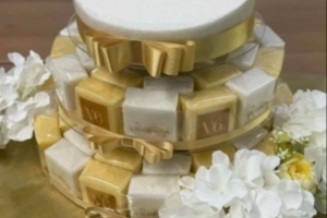 GEN分享T1奪冠紀(jì)念年糕：祝賀T1再次贏得全球總決賽冠軍