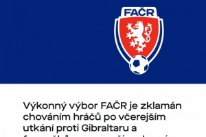 捷克足協(xié)向球迷致歉：紹切克將不再任隊(duì)長(zhǎng)，球員們也不會(huì)獲得獎(jiǎng)金