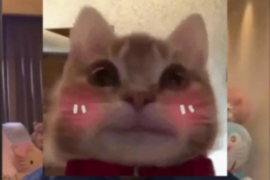 朱開(kāi)：LNG中野是韓援確定了，是BuLLDoG和Croco