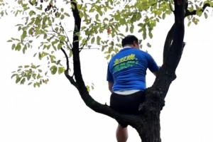 湘超聯(lián)賽推出“掛票”，球迷可坐在樹上看球但禁止“自掛東南枝”