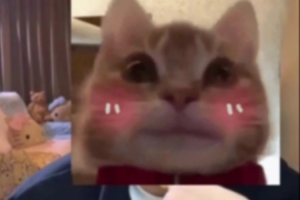 涵藝：iG經(jīng)理沒(méi)經(jīng)驗(yàn)第一次搞這種轉(zhuǎn)會(huì)期，換蘇小落Elk不可能到WBG