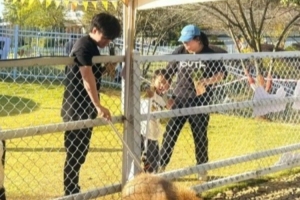 何意味Beichuan昨日更新微博動(dòng)態(tài) 上線后將打野Shad0w取關(guān)