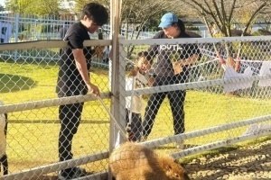 Beichuan分享旅游照：冒死投喂一下封王極限