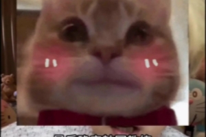 朱開(kāi)：很多LPL隊(duì)伍迷信韓國(guó)教練 但不了解中國(guó)文化會(huì)浪費(fèi)磨合時(shí)間