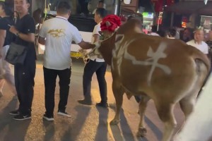 穿得越粉打球越狠，劉韋江踩著小粉鞋狂砍分?jǐn)?shù)！