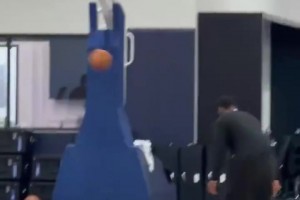 來自中國的拉拉隊寶貝！Brooklyn8位小姐姐：多關(guān)注籃網(wǎng)