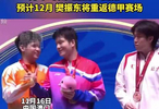 樊振東全運會奪冠獲俱樂部盛贊，12月重返德甲賽場